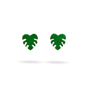Pequeños Monstera
